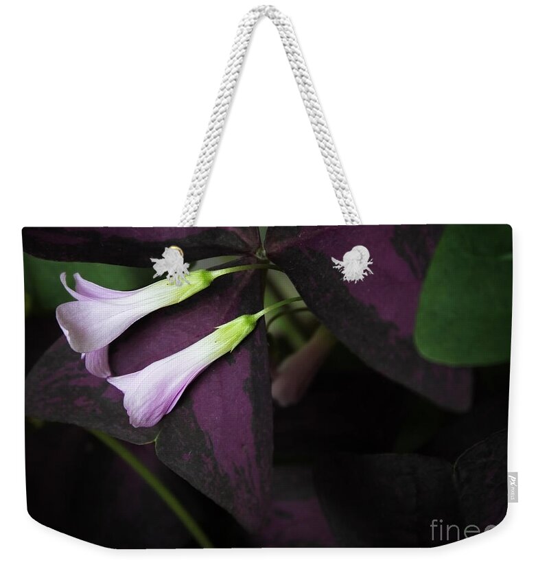 Flowers Weekender Tote Bag featuring the photograph Lay Down Beside Me by Ellen Cotton