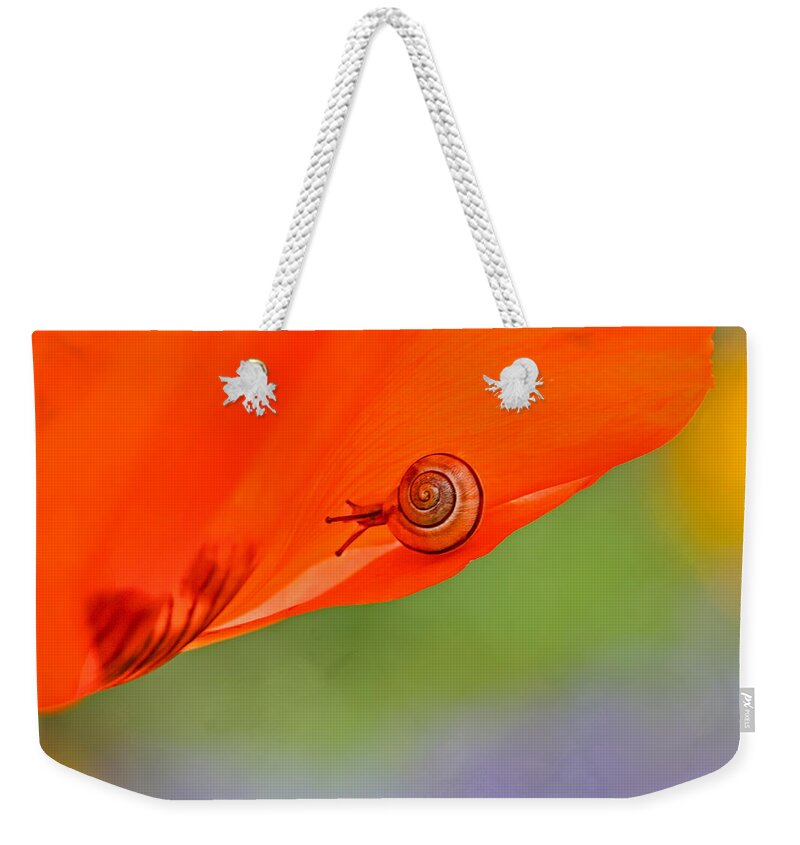 Snail Weekender Tote Bag featuring the photograph Leading a Colorful Life by Peggy Collins
