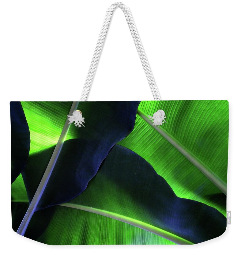Outdoors Weekender Tote Bag featuring the photograph Leaf Of The Banana by Photographer, Loves Art, Lives In Kyoto