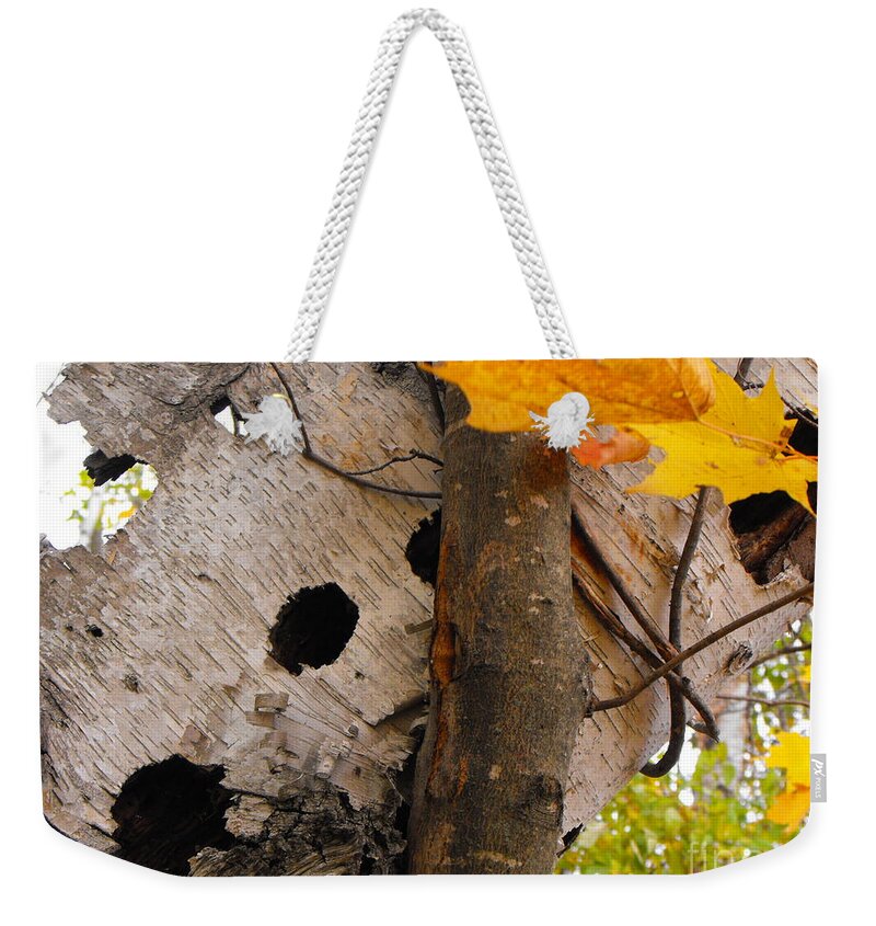 Birch Weekender Tote Bag featuring the photograph Leaning Birch by Erick Schmidt