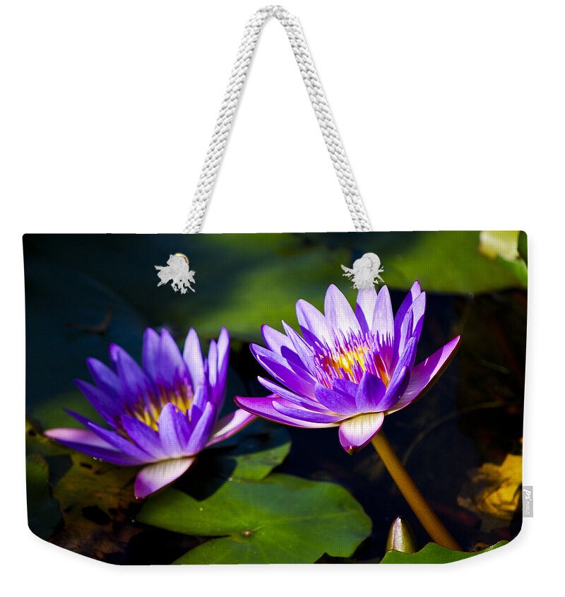 Bloom Weekender Tote Bag featuring the photograph Leaning Lily by Christi Kraft