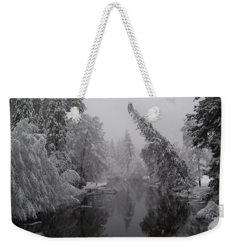 Tree Weekender Tote Bag featuring the photograph Leaning Tree by Bill Gallagher