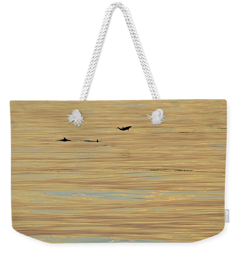 Dolphin Weekender Tote Bag featuring the photograph Leaping Dolphin and Golden Sea by Bradford Martin
