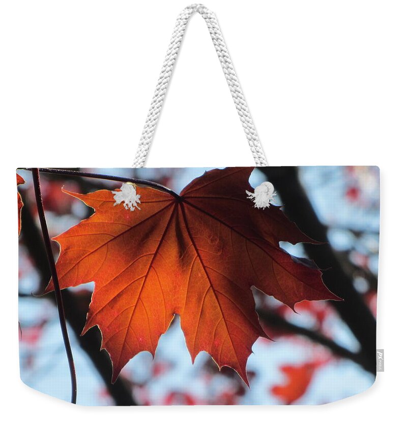 Leaf Weekender Tote Bag featuring the photograph Leaves Backlit 2 by Anita Burgermeister