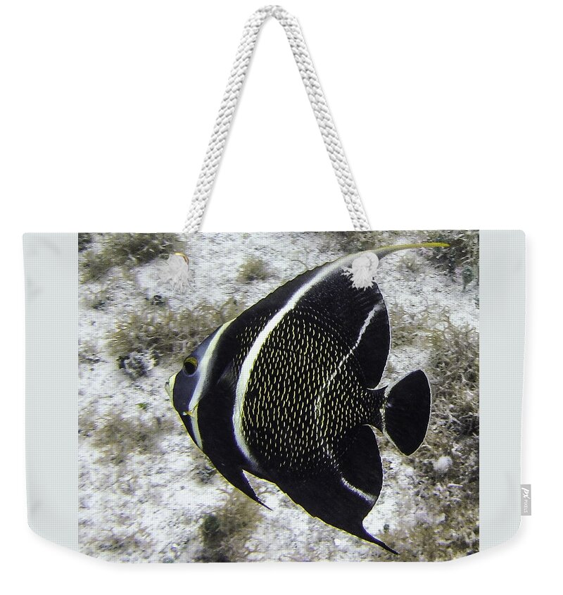 Fish Weekender Tote Bag featuring the photograph Left Turn by Lynne Browne