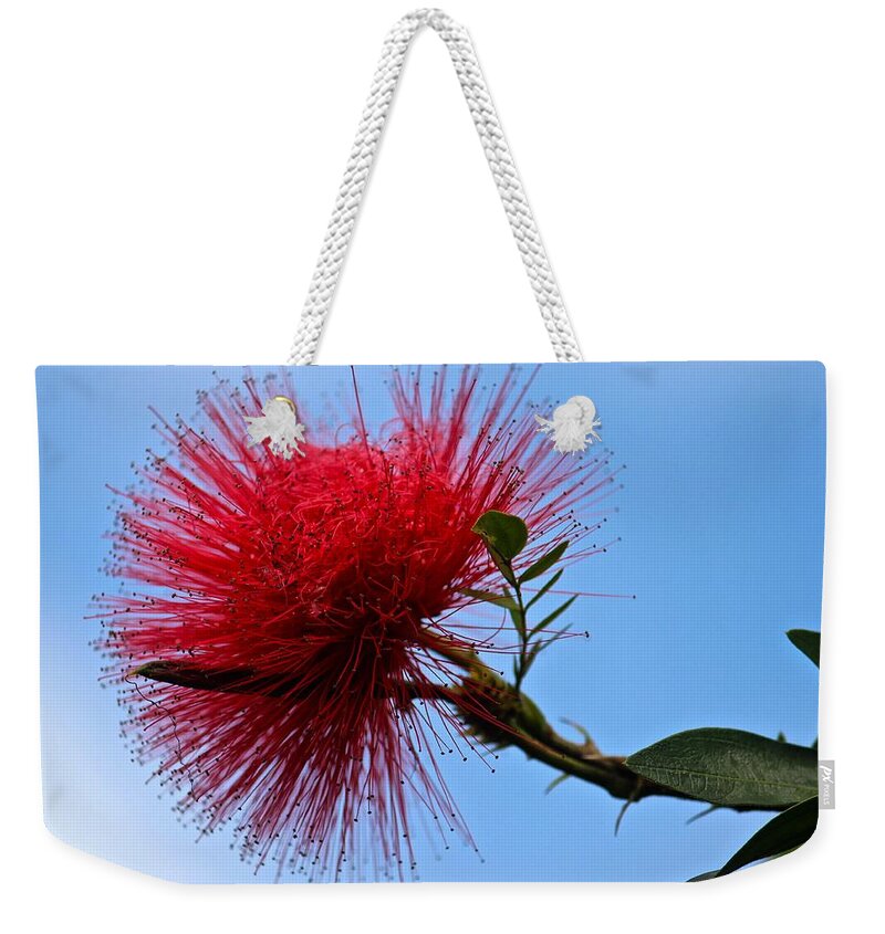 Lehua Weekender Tote Bag featuring the photograph Lehua Blossom by Venetia Featherstone-Witty