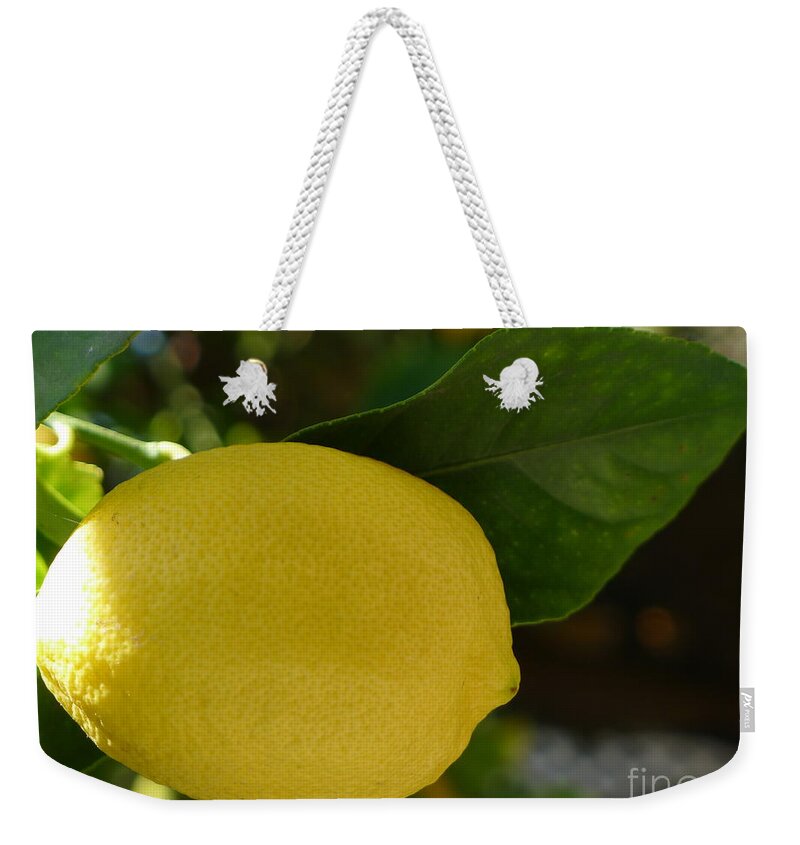 Lemon Weekender Tote Bag featuring the photograph Lemon by Nora Boghossian