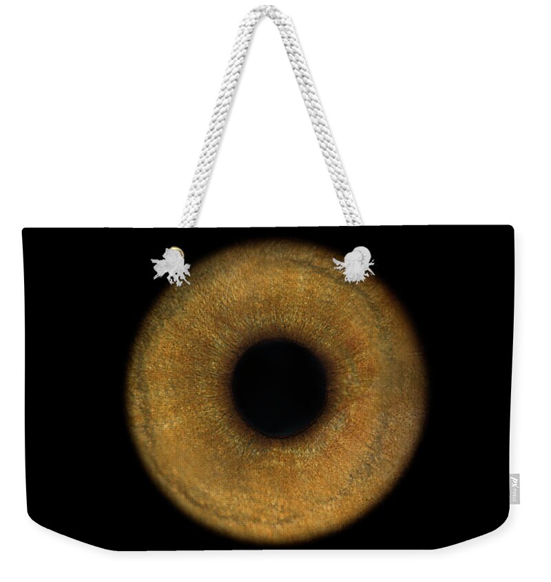 Eyesight Weekender Tote Bag featuring the photograph Lemurs Eye, Close-up by Jonathan Knowles