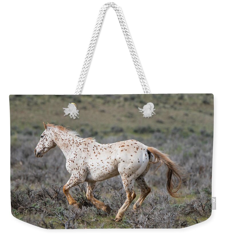 Horse Weekender Tote Bag featuring the photograph Leopard Appaloosa Horse by Michael Lustbader