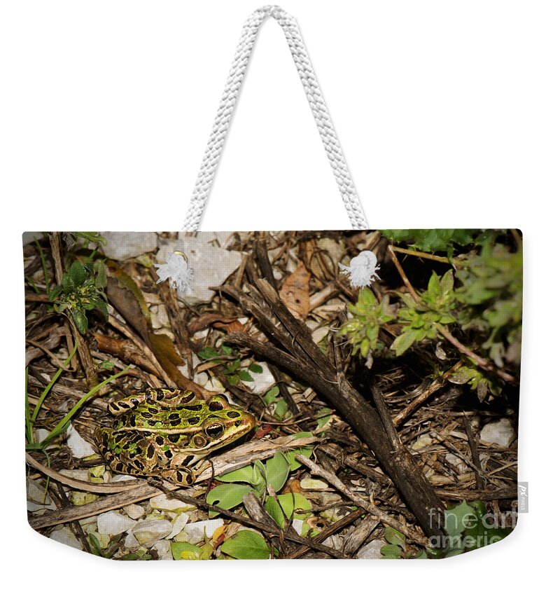 Frog Weekender Tote Bag featuring the photograph Leopard Frog by Jayne Gohr