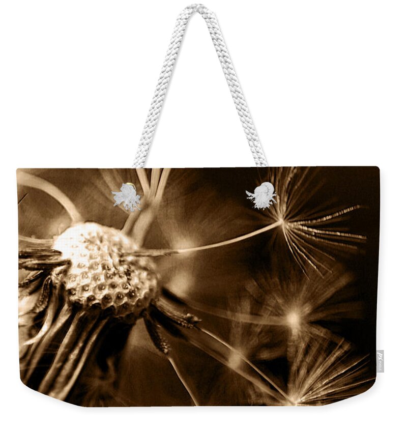 Dandelion Weekender Tote Bag featuring the photograph Let Go by Heather Applegate