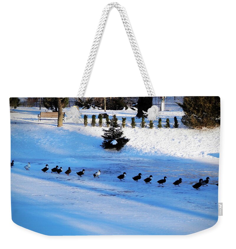 Ducks Weekender Tote Bag featuring the photograph Let's Go by Zinvolle Art