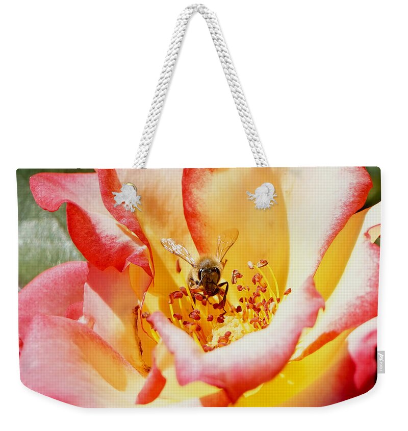 Photography Weekender Tote Bag featuring the photograph Life by Giorgio Tuscani