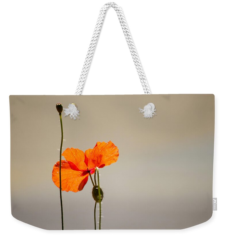 Poppy Weekender Tote Bag featuring the photograph Life by Spikey Mouse Photography