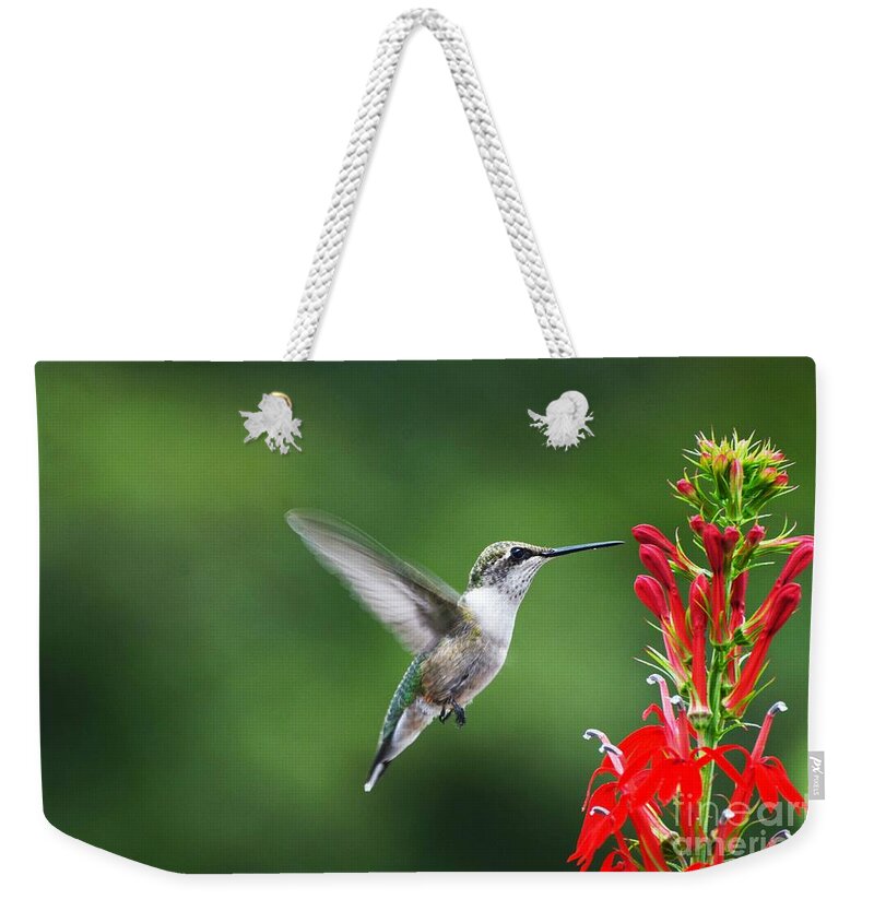 Bird Weekender Tote Bag featuring the photograph Lifes Little Pleasure by Judy Wolinsky