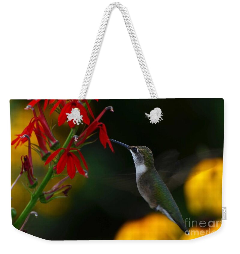 Bird Weekender Tote Bag featuring the photograph Lifes Little Pleasures 2 by Judy Wolinsky