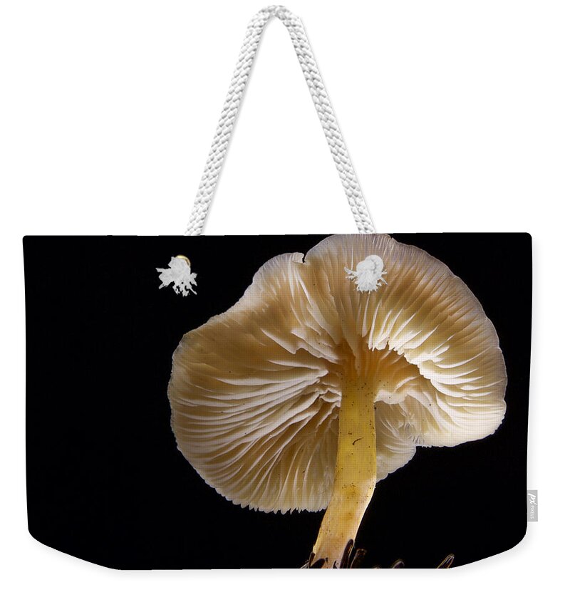 Lifting Her Skirt Weekender Tote Bag featuring the photograph Lifting her Skirt by Jean Noren