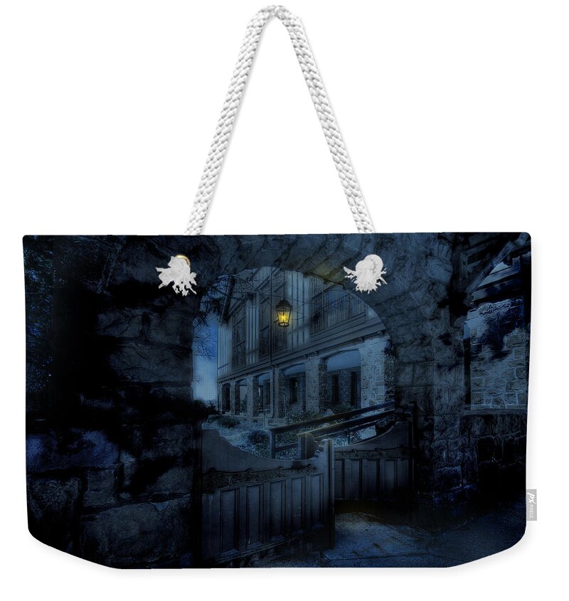 Light Weekender Tote Bag featuring the photograph Light the Way by Shelley Neff