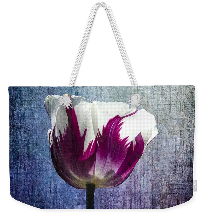 Tulip Weekender Tote Bag featuring the photograph Light You Up by Sandra Parlow