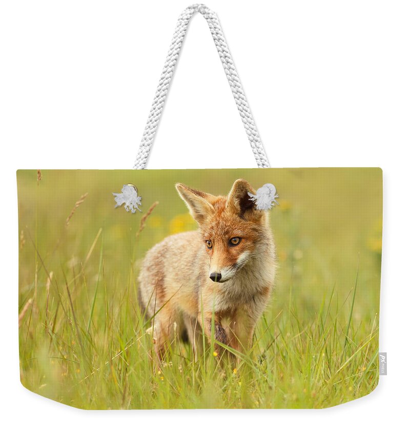 Afternoon Weekender Tote Bag featuring the photograph Lil' Hunter - Red Fox Cub by Roeselien Raimond