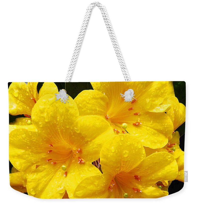 Yellow Weekender Tote Bag featuring the digital art Lilies by Kathleen Illes