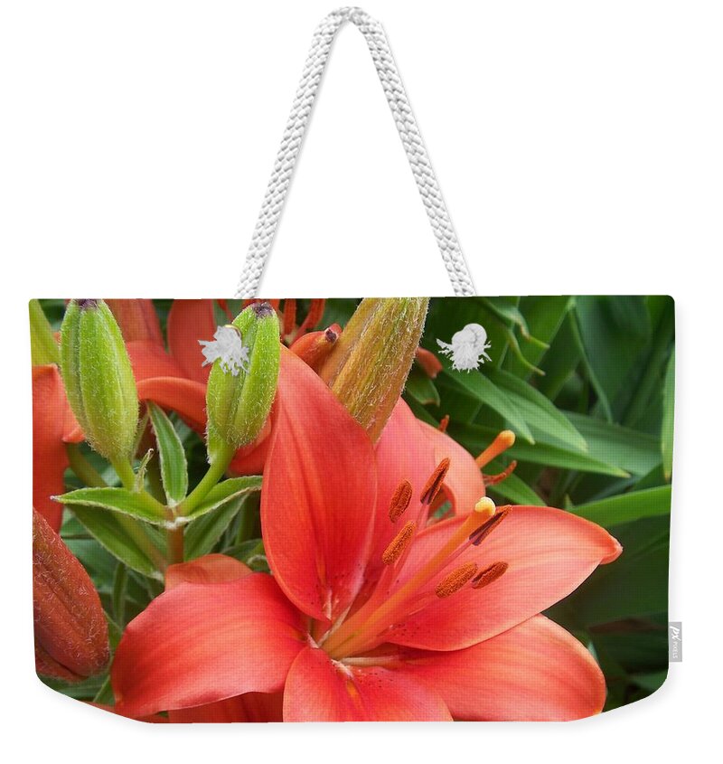 Flower Weekender Tote Bag featuring the photograph Lillys and Buds 1 by Anita Burgermeister