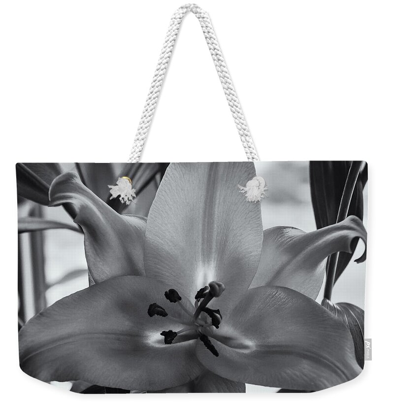 2013 Weekender Tote Bag featuring the photograph Lily 16 by Mark Myhaver