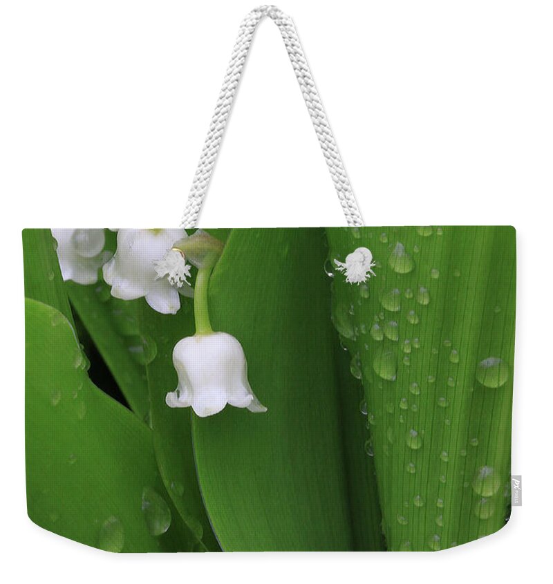 Lilies Of The Vally Weekender Tote Bag featuring the photograph Lily Bell by Shari Jardina