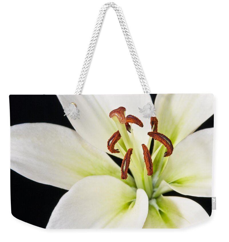 Lily Weekender Tote Bag featuring the photograph Lily in Winter by Georgette Grossman