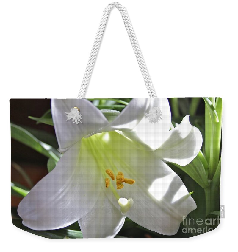Lily Weekender Tote Bag featuring the photograph Lily by Jim Gillen