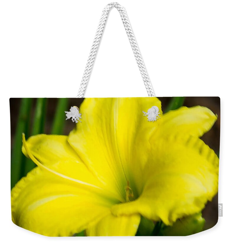 Sandra Clark Weekender Tote Bag featuring the photograph Lily of Joy by Sandra Clark