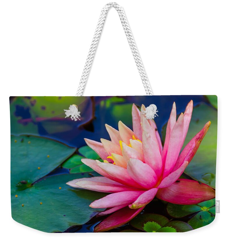Lily Weekender Tote Bag featuring the photograph Lily Pond by John Johnson
