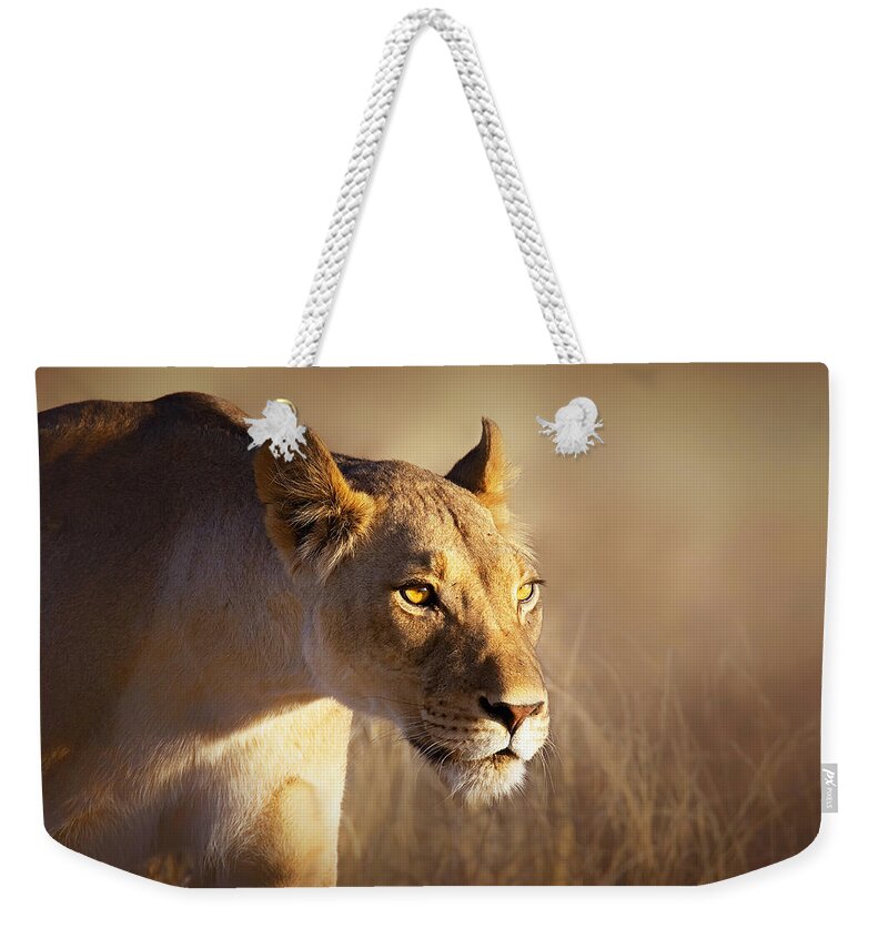Lion Weekender Tote Bag featuring the photograph Lioness portrait-1 by Johan Swanepoel