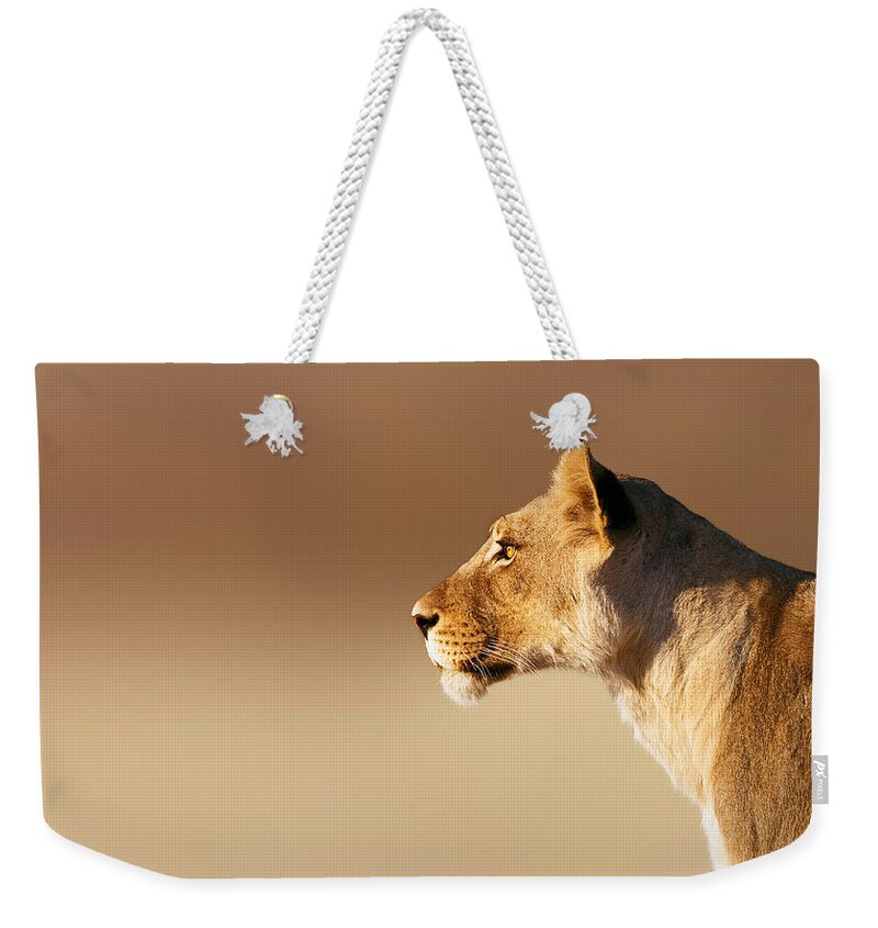 Lion Weekender Tote Bag featuring the photograph Lioness portrait by Johan Swanepoel