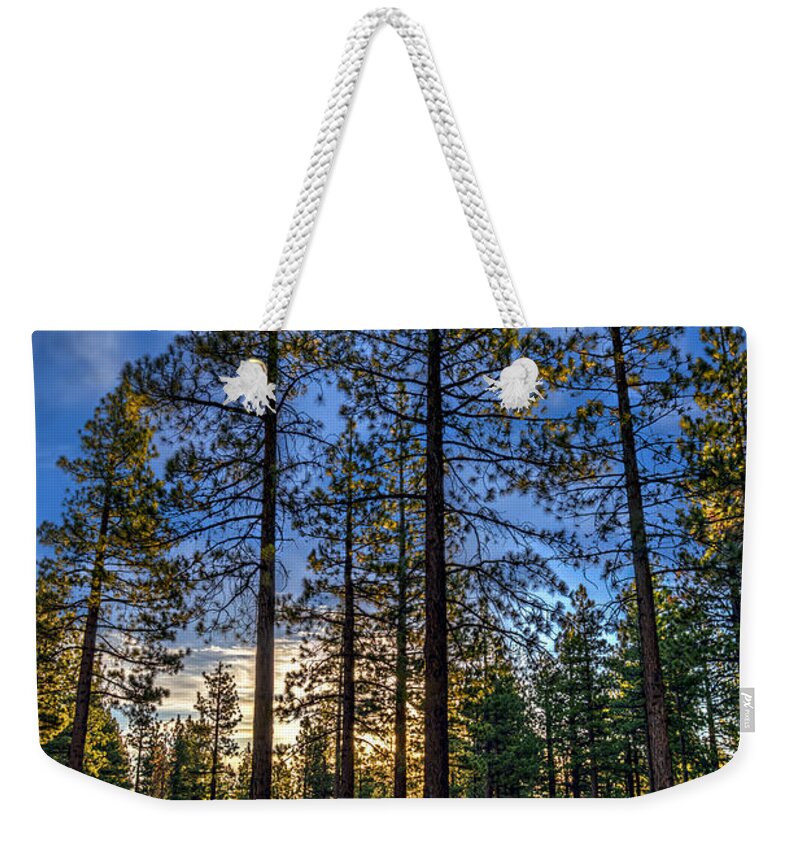 Landscape Weekender Tote Bag featuring the photograph Lit Up Trees by Maria Coulson
