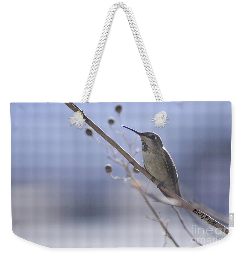 #male Anna #bird #hummingbird #fierce #neck Feathers #iridescent Feathers #territory #feathers #beak #blue Sky #sky Weekender Tote Bag featuring the photograph Little Red by Debby Pueschel