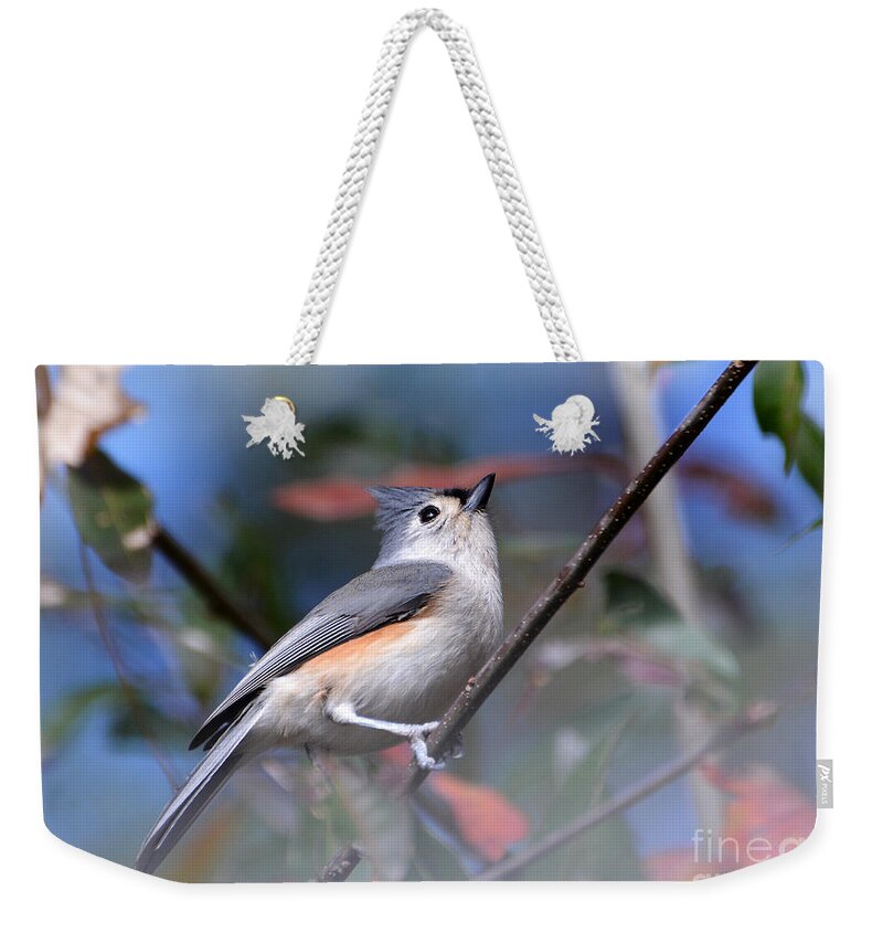 Birds Weekender Tote Bag featuring the photograph Little Tufted Titmouse by Kathy Baccari