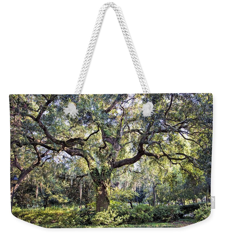 Savannah Weekender Tote Bag featuring the photograph Live Oak by Diana Powell