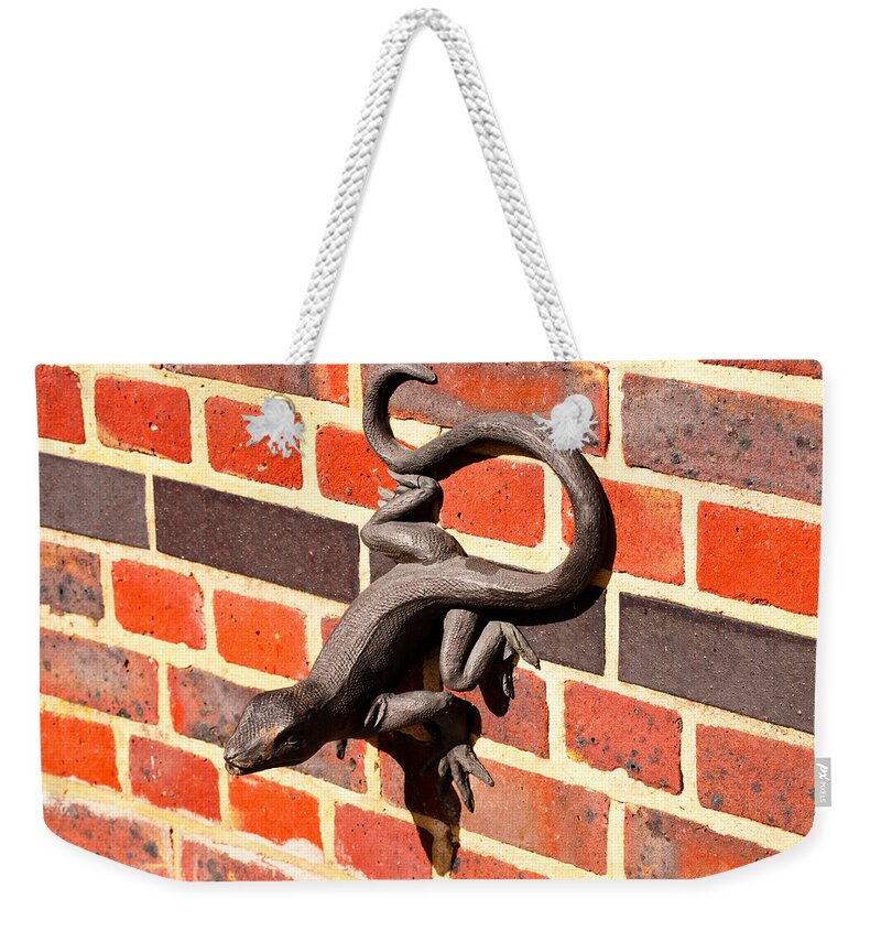 Animal Weekender Tote Bag featuring the photograph Lizard in the Sun by Christi Kraft