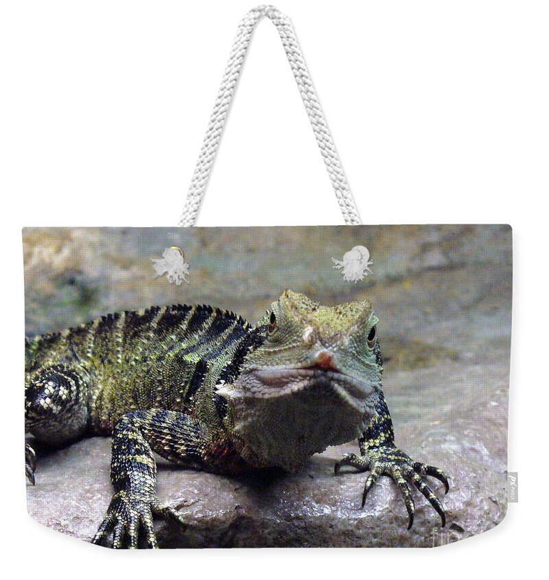 Reptiles Weekender Tote Bag featuring the photograph Lizzie's Gaze by Lingfai Leung