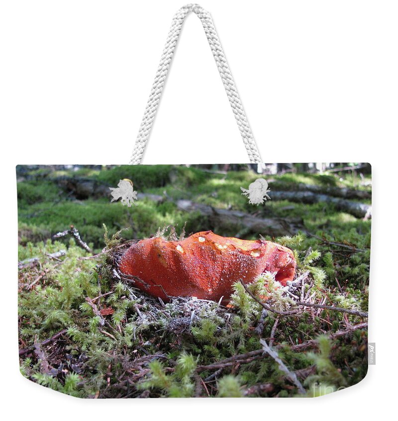 Lobster Weekender Tote Bag featuring the photograph Lobster Mushroom by Leone Lund
