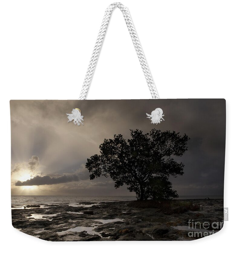 Tranquil Scene Weekender Tote Bag featuring the photograph Lone Mangrove by Keith Kapple