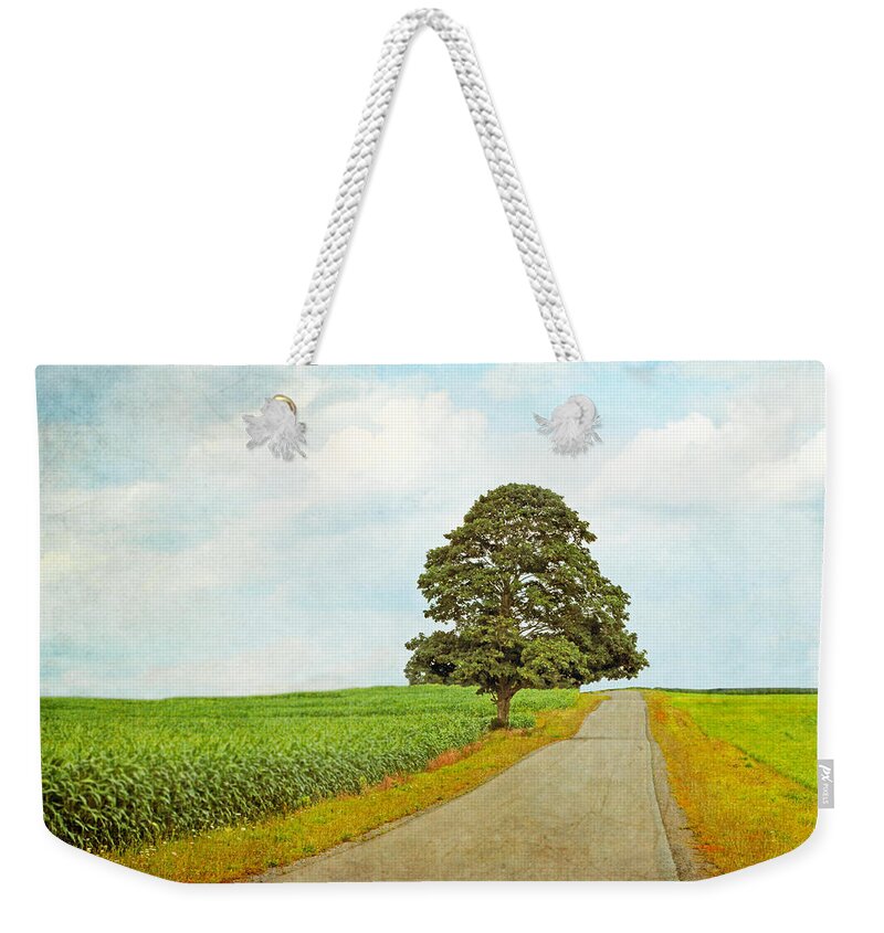 Maple Tree Art Weekender Tote Bag featuring the photograph Lone Tree by Brooke T Ryan