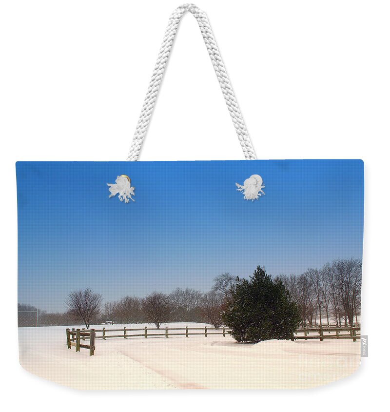 Winter Weekender Tote Bag featuring the photograph Lone Winter Evergreen by Amy Lucid