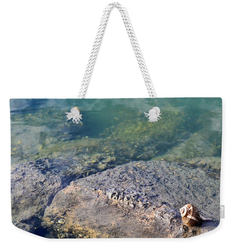 Shells Weekender Tote Bag featuring the photograph Lonely Shell by Patricia Greer
