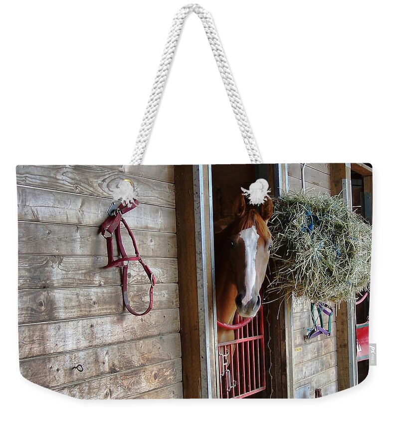Race Horse Weekender Tote Bag featuring the photograph Lonesome by Ron Roberts