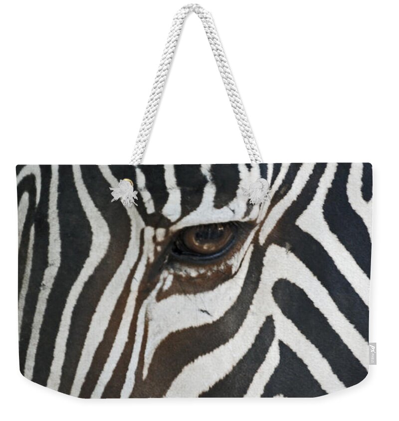 Zebras Weekender Tote Bag featuring the photograph Look into my eye by Ernest Echols