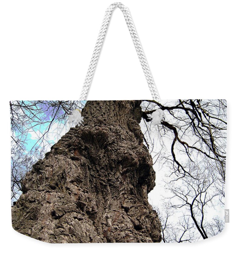 Trees Weekender Tote Bag featuring the photograph Look Up Look Way Up by Nina Silver
