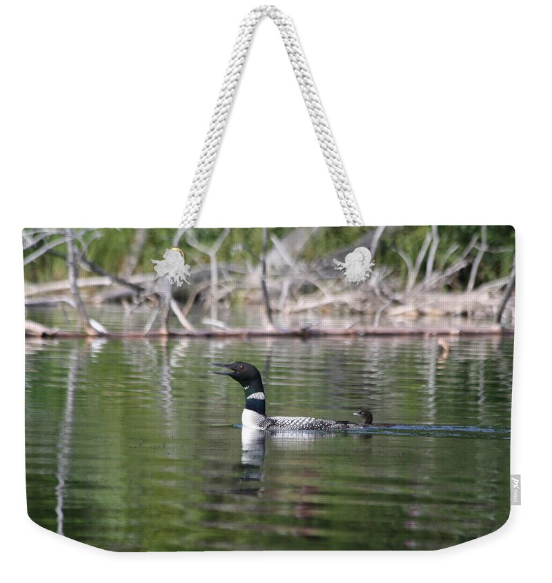 Loon Weekender Tote Bag featuring the photograph Loon and baby by Lynne McQueen