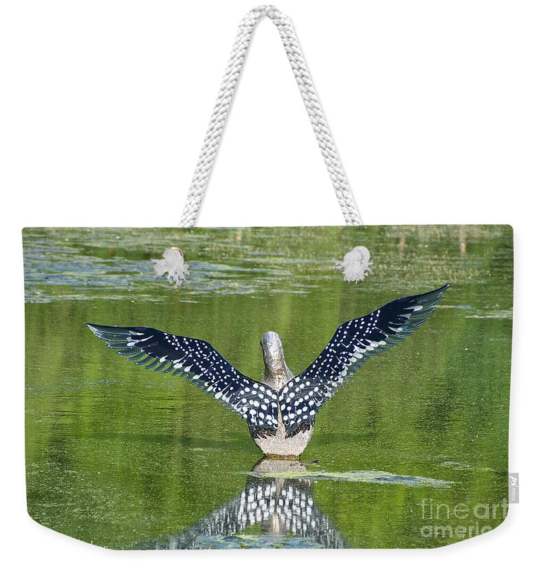 Outdoors Weekender Tote Bag featuring the photograph Loon Wings by Susan Herber